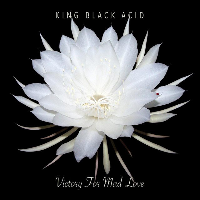 King Black Acid - Turning Off My Television | Rock music review, Rock music genre, Nagamag Magazine