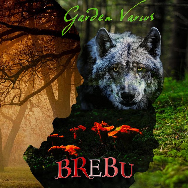 Brebu - The Garden Varius | Neoclassical music review, Neoclassical music genre, Nagamag Magazine