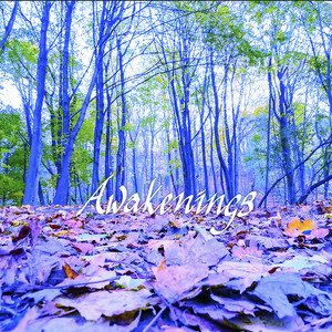 golden-feather-awakenings-jazz-music-review-nagamag-music-magazine Golden Feather – Awakenings | Jazz music review