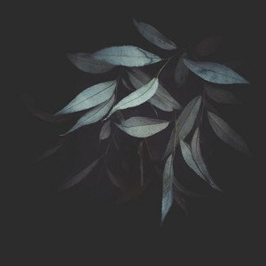 willow-instrumental-gifts-from-crows-nagamag-music-magazine Willow – Instrumental – Gifts From Crows