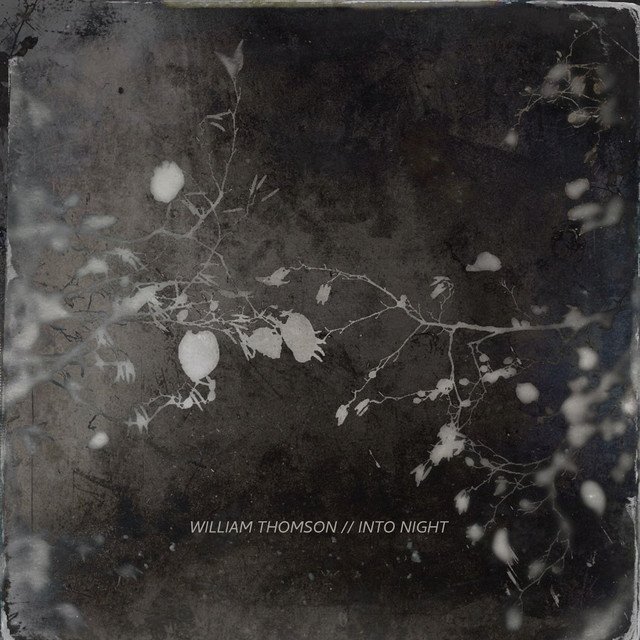 william-thomson-into-night-neoclassical-album-cover-nagamag-music-magazine Song Review: “Into Night” by William Thomson | Neoclassical Essential