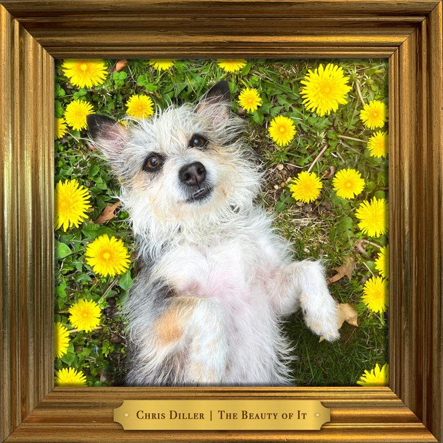 Cover of: Chris Diller - The Beauty of It | Rock Music