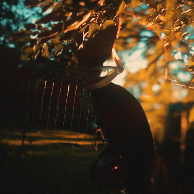 Cover of: Dellwood - The Animals | Rock Music