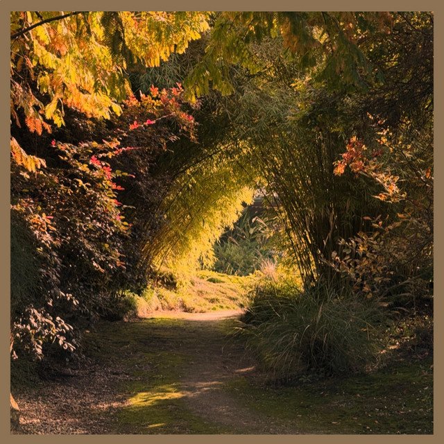 Cover of: Specific Coast - Lonely | Rock Music