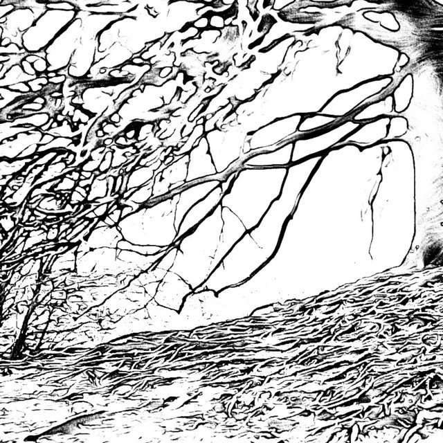 Cover of: Drew Neirin - I'm Fresh Outa Bad Luck | Rock Music