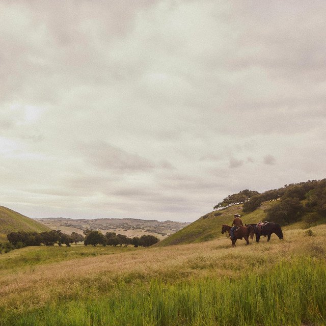 Cover of: Stefan J. Selbert - Western Wallflower | Pop Music