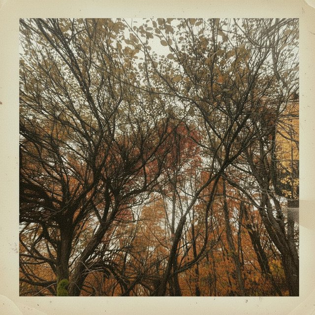 Cover of: Odd Marshall - On My Way | Rock Music