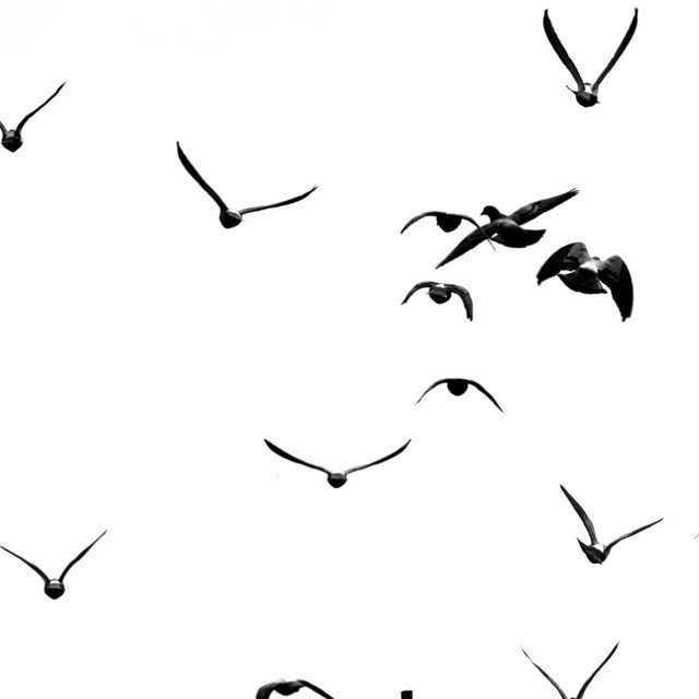 Cover of: Patrick Avalon - notre | Neoclassical Music