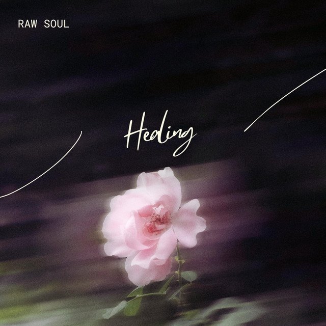 Cover of: Raw Soul - In Need (of Healing) | Hip Hop Music