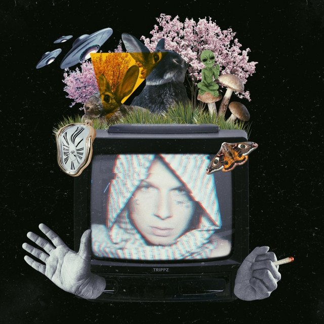 Cover of: Trippz Michaud - No Box | Hip Hop Music