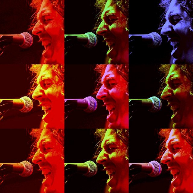 Cover of: 2AP - Real Little Wild | Rock Music