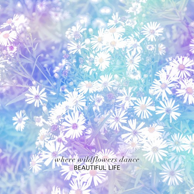 Cover of: Beautiful Life - where wildflowers dance | Neoclassical Music