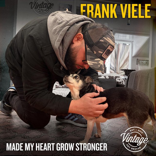 Cover of: Frank Viele - Made My Heart Grow Stronger | Rock Music