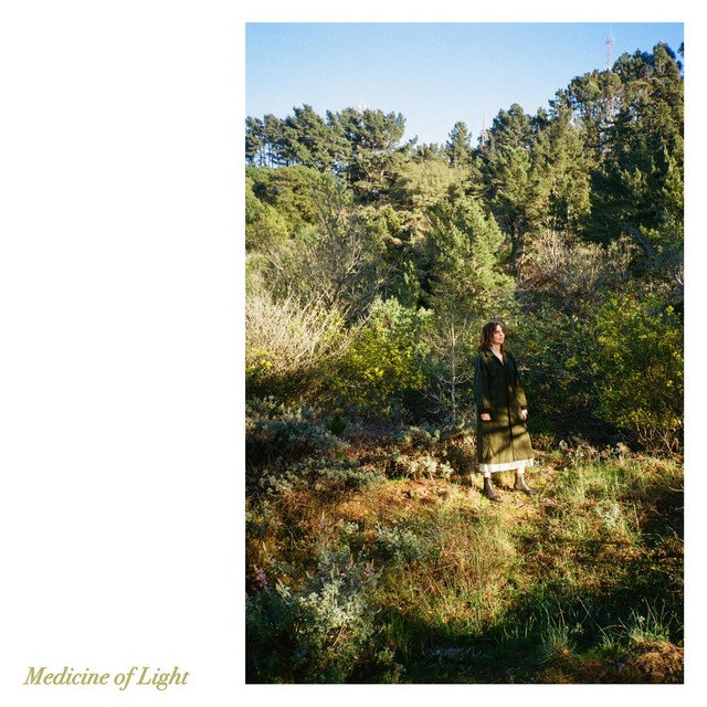 Cover of: Jenny Gillespie Mason - Medicine of Light | Rock Music