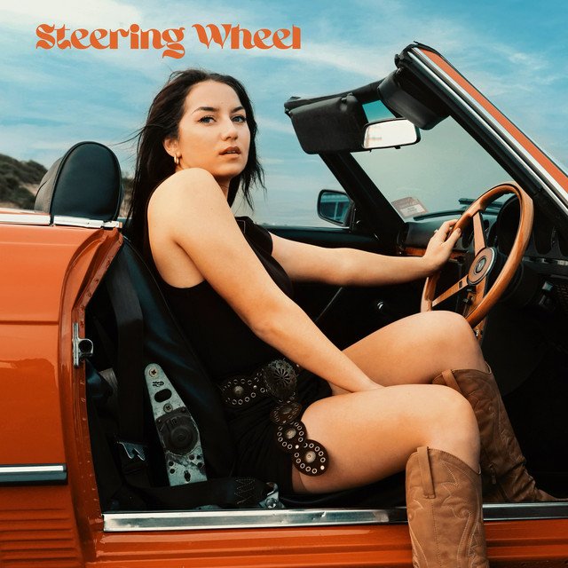 Cover of: Danni K - Steering Wheel | Rock Music