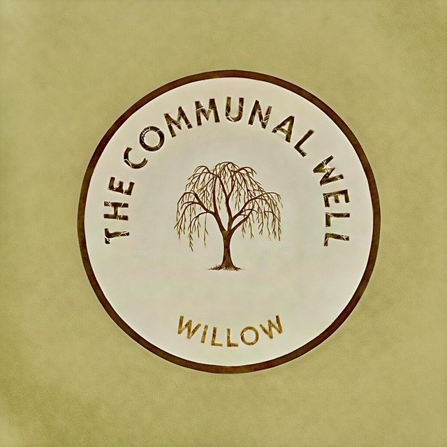 the-communal-well-willow-jazz-album-cover-nagamag-music-magazine