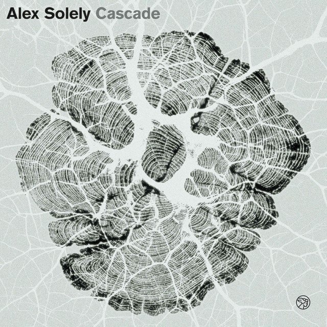 Cover of: Alex Solely - Little Bird | Neoclassical Music