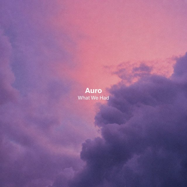 Cover of: Auro - What We Had | EDM Music