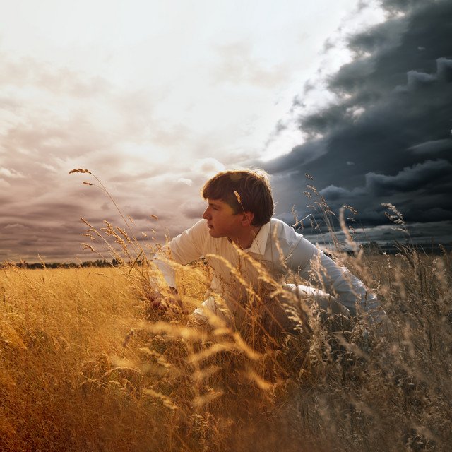Cover of: Oskar BrandtNow or Never | Pop Music