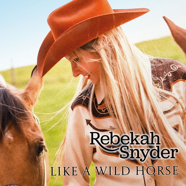 Cover of: Rebekah SnyderLike A Wild Horse | Rock Music
