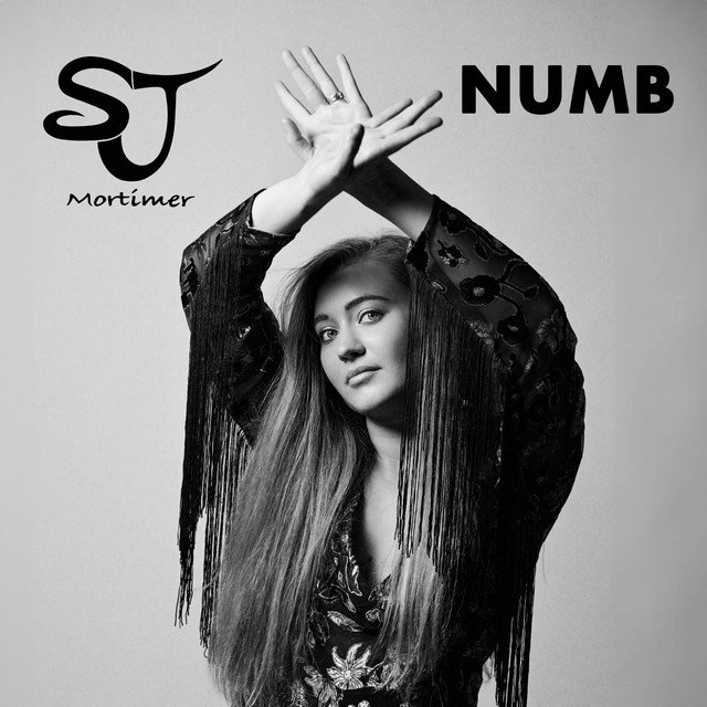 Cover of: SJ MortimerNumb | Pop Music