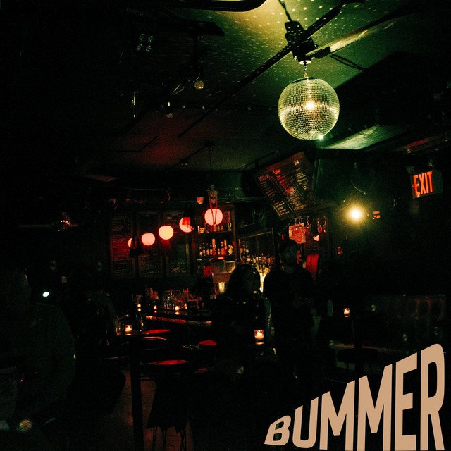 Cover of: the dt's - Bummer | Rock Music